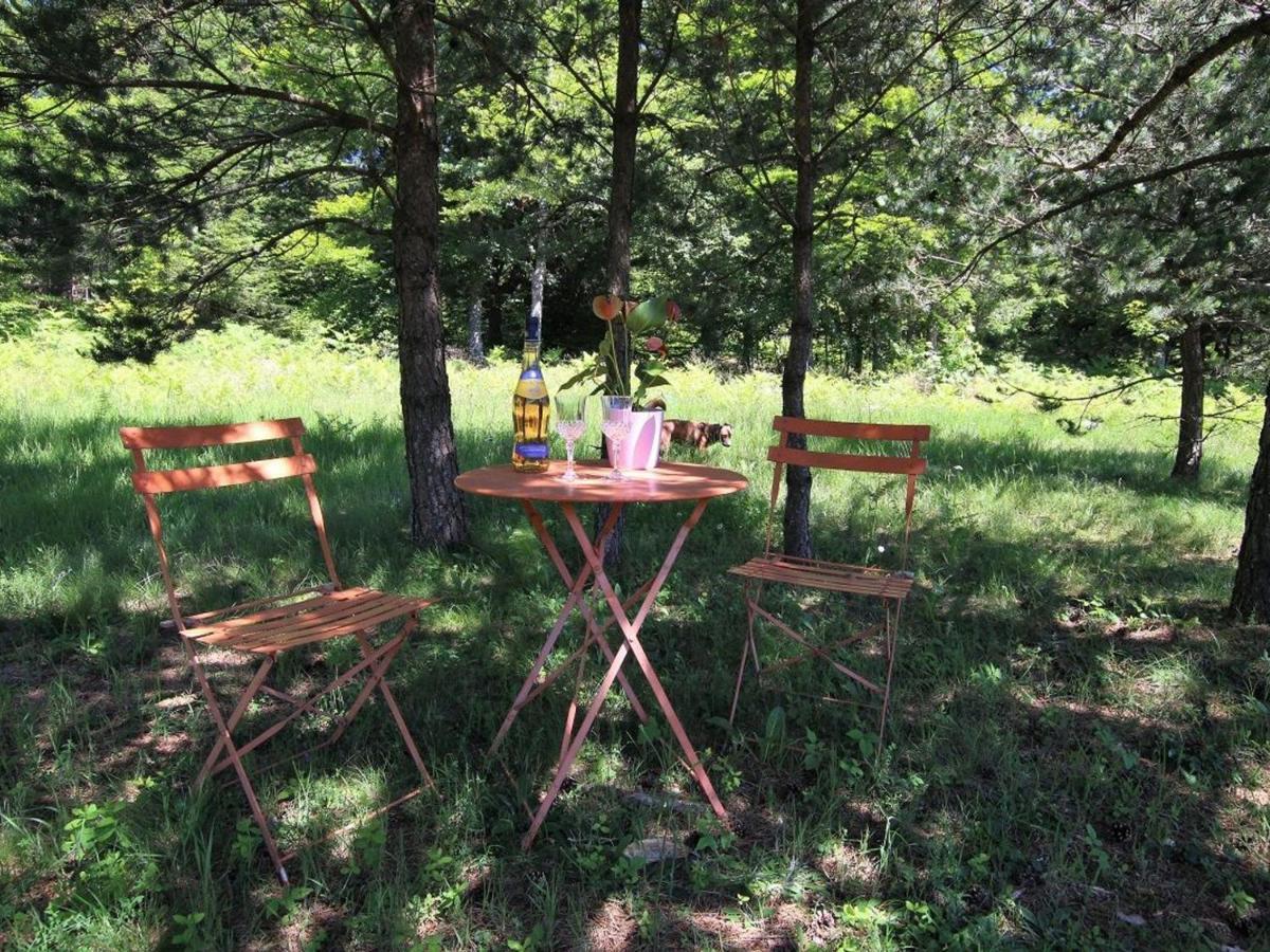 Gite Nature Au Chambon-Sur-Lignon: Terrasse, Wifi, Proche Activites Et Commerces - Fr-1-582-137 Le Chambon-sur-Lignon Bagian luar foto