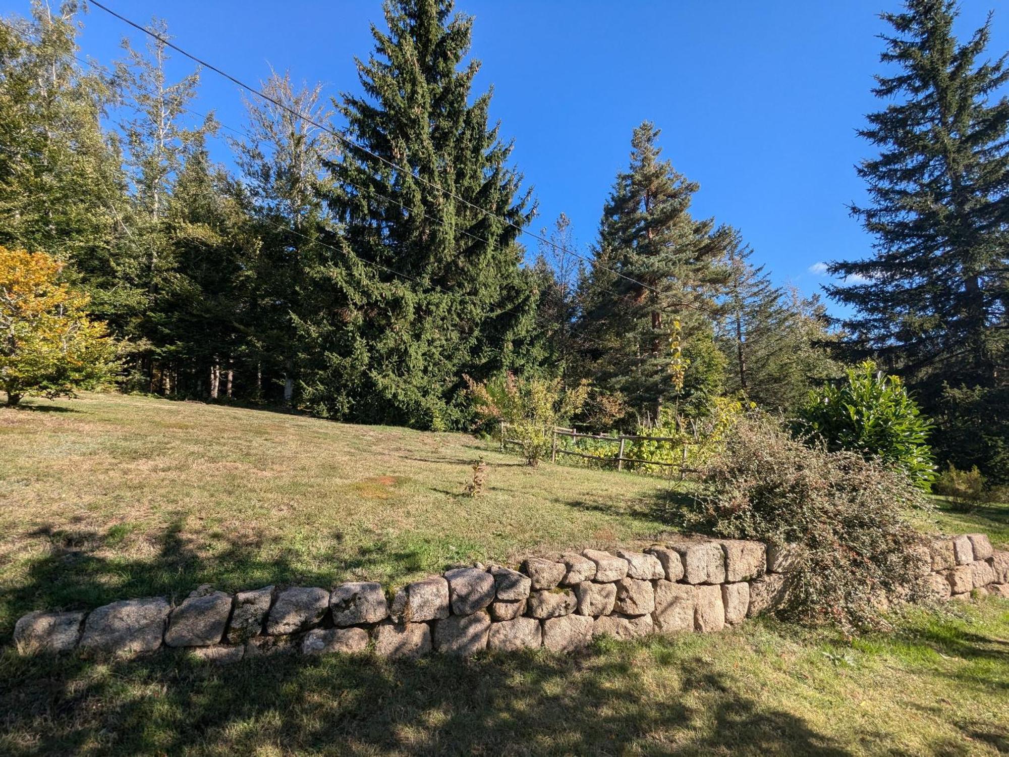 Gite Nature Au Chambon-Sur-Lignon: Terrasse, Wifi, Proche Activites Et Commerces - Fr-1-582-137 Le Chambon-sur-Lignon Bagian luar foto